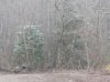 20150127NotReallySnow.jpg