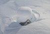 snowed-in.jpg