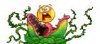 th_flower_3.jpg