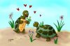 turtlelove.jpg