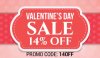 V-DAY-Banner-600x350.jpg