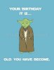 Yoda.jpg