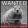 Punxsutawney-Phil.jpg