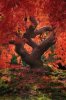 red tree.jpg