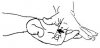 a finger 2.jpg