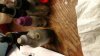 20150223_173332.jpg