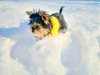 MUGSY  IN THE SNOW.jpg