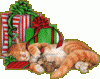 CatWithPresents.gif