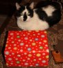 DSC06016.jpg