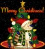 christmas-cat.jpg