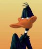 a daffy 2.jpg