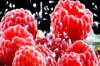 organic-ejuice-raspberrykiwi.jpg
