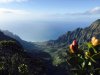 Kauai Bay.jpg