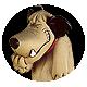 dog.gif