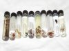 diyeliquid.jpg