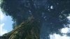 Hometree_3_HD.jpg