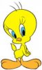 a big bird 2.jpg