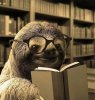 ProfSloth.jpg
