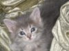 Whitney Pics 10-2011 003.jpg