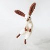 Bunny.jpg