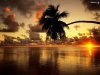 sunsets-mother-nature-250228_1024_768.jpg