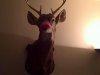 Rudolf.jpg