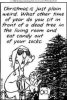 maxinexmas7.jpg