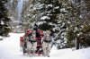 sleigh.jpg