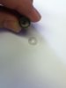 ImageUploadedByTapatalk1324051068.805093.jpg