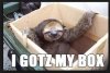 ContentSloth.jpg