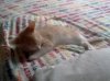IMG_20110423_153604.jpg