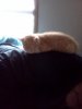IMG_20110423_160040.jpg