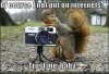 Squirrel takina picture.jpeg