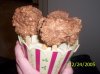 100_0044.jpg