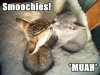 catskiss.jpg