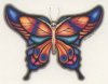 SAButterflyclose.jpg