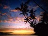 Hawaii.jpg