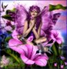 fairies2026.jpg