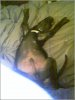 blackie sleeping.jpg