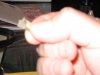 IMG_0601.jpg