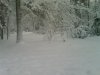 Driveway and circle with sundial!.jpg