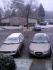 snow1small.jpg