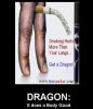 dragon.jpg
