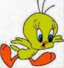 Tweety Chuck.jpg