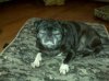 IMG00089.jpg IMG00089.jpg
