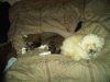 IMG-20120121-00227.jpg