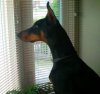 DSC00024.jpg