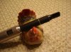 DSC02491.jpg