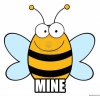 beeimage.jpg