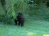DSCN0594.JPG